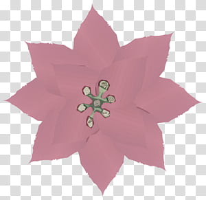 pink petal flower plant leaf transparent background PNG clipart thumbnail