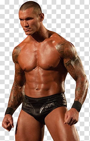 Randy Orton transparent background PNG clipart