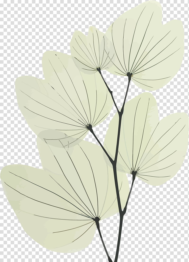 leaf petal flower plant anthurium, Bodhi Leaf, Bodhi Day, Watercolor, Paint, Wet Ink, Wildflower transparent background PNG clipart