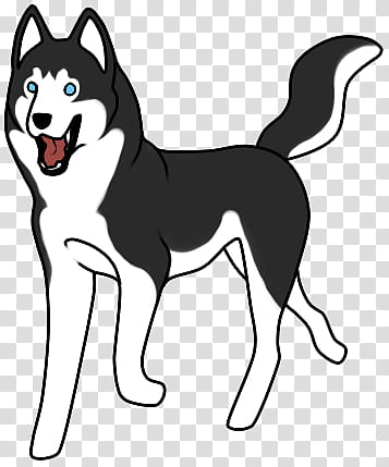 : Siberian Husky, black and white wolf illustration transparent background PNG clipart