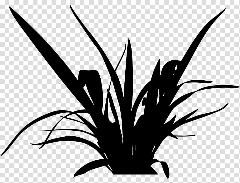Family Tree, Grasses, Leaf, Plant Stem, Flower, Line, Plants, Blackandwhite transparent background PNG clipart