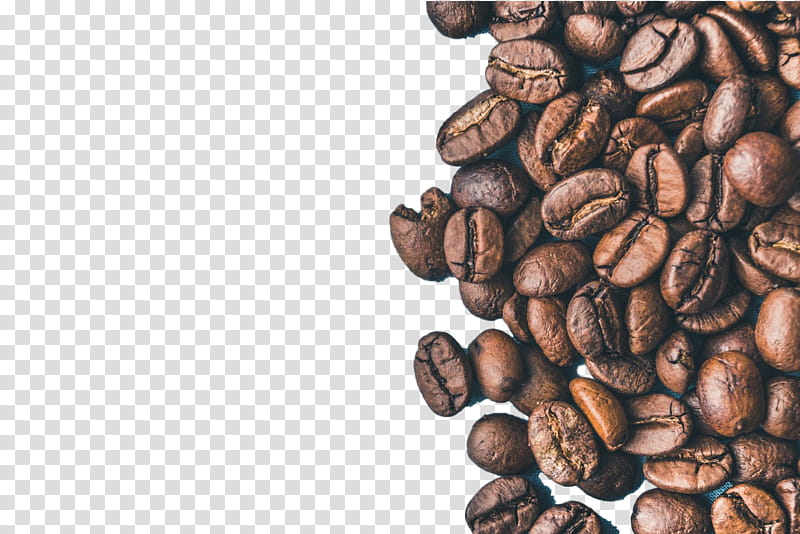 caffeine single-origin coffee jamaican blue mountain coffee java coffee bean, Singleorigin Coffee, Brown, Kona Coffee, Instant Coffee, Kapeng Barako, Cocoa Bean transparent background PNG clipart