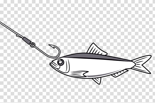 Fishing, Fish Heads, Black White M, Fishing Tackle, Business, Clothing Accessories, Fashion, Marketing transparent background PNG clipart