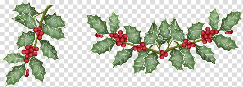Christmas Poinsettia, Christmas Day, Drawing, Christmas Graphics, Flower, Animation, Llums De Nadal, Christmas Eve transparent background PNG clipart