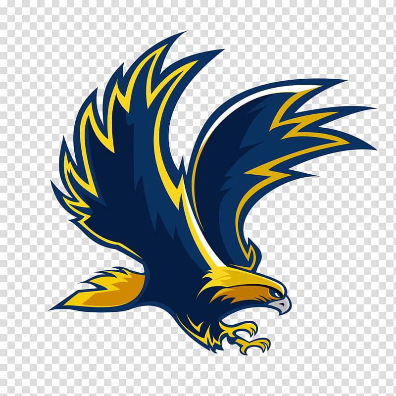 Central Lee High School Donnellson Hawk Sport, eagle, animals, sport, logo  png | Klipartz