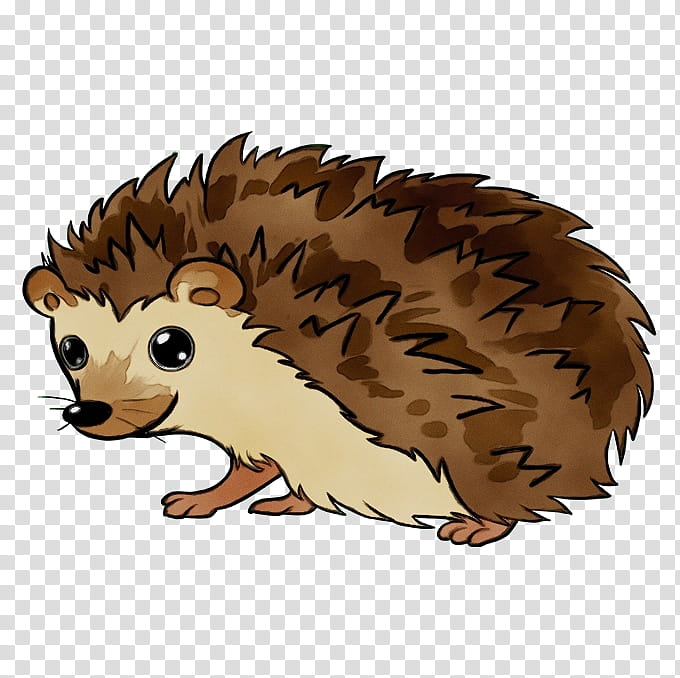 hedgehog erinaceidae porcupine cartoon domesticated hedgehog, Watercolor, Paint, Wet Ink, New World Porcupine, Echidna, Snout transparent background PNG clipart