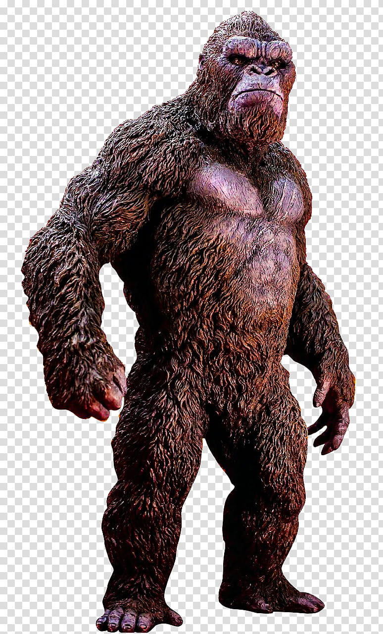 Kong full body transparent background PNG clipart