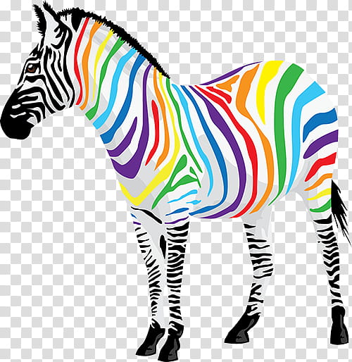 Zebra, Drawing, Poster, Wall Decal, Painting, Animal Figure, Wildlife, Snout transparent background PNG clipart