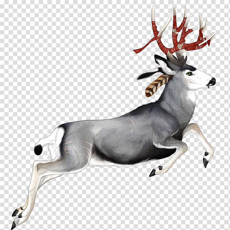 Forest, Deer, Moose, Red Deer, Antler, Reindeer, Drawing, Sika Deer transparent background PNG clipart