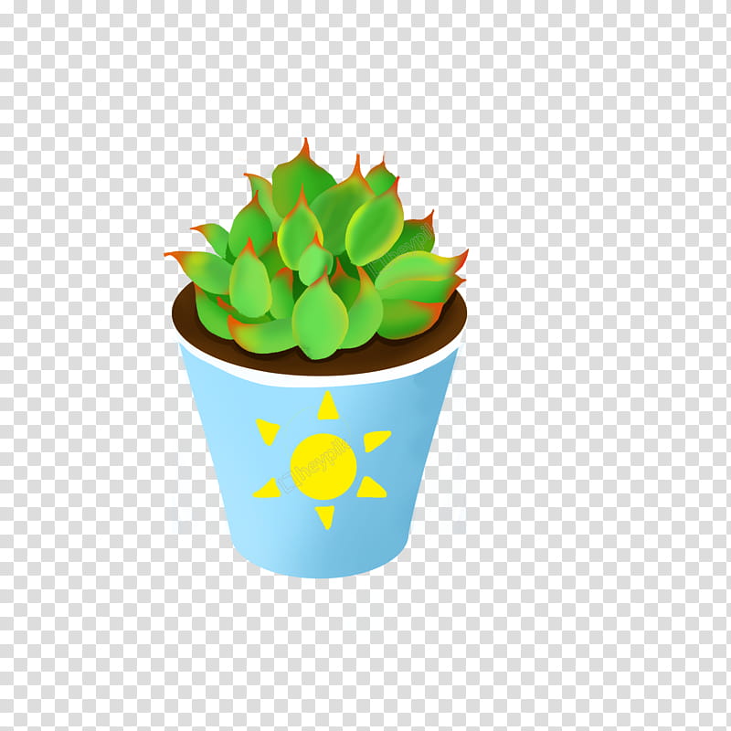 Cactus, Succulent Plant, Cartoon, Plants, Drawing, Cuteness, Flowerpot, Echeveria transparent background PNG clipart