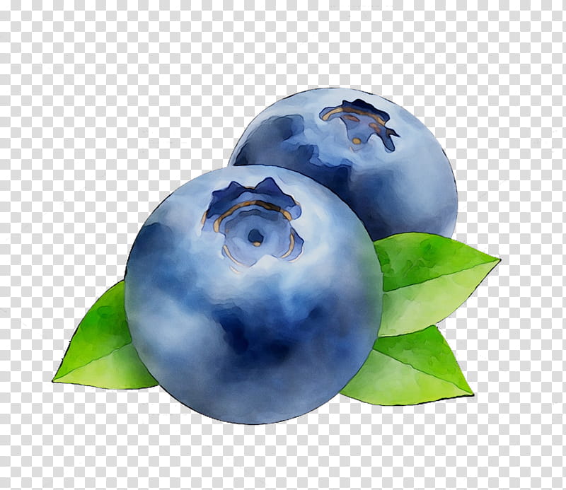 Fruit Tree, Bilberry, Blueberry, Sphere, Plant, Ball transparent background PNG clipart