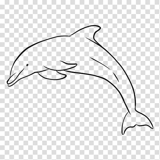 A Happy Dolphin - Doodlewash®