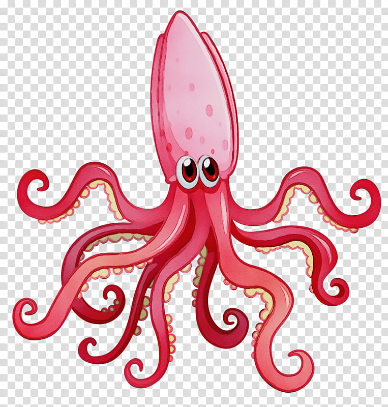 Octopus, Squid, Animal, Giant Squid, Marine Life, Cartoon, Giant Pacific Octopus, Pink transparent background PNG clipart