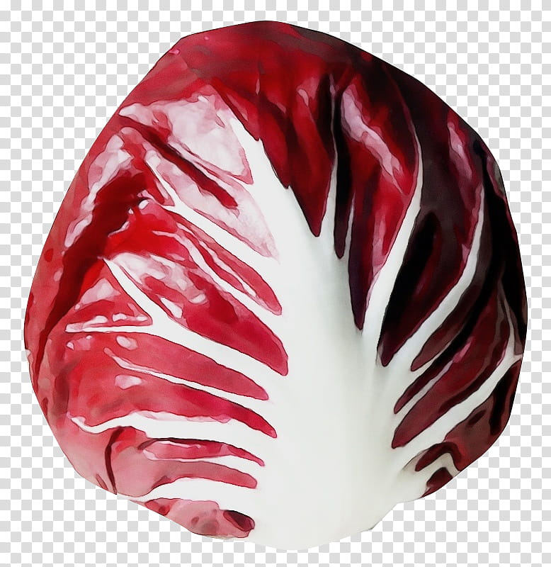 red leaf vegetable radicchio vegetable cabbage, Watercolor, Paint, Wet Ink, Plant, Red Cabbage transparent background PNG clipart