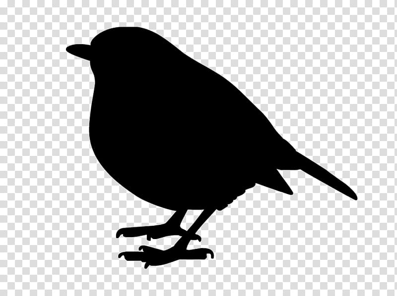 Robin Bird, Common Raven, Silhouette, Drawing, Stencil, Christmas Day, European Robin, American Robin transparent background PNG clipart