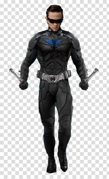 Nightwing Render transparent background PNG clipart