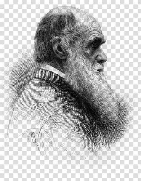 Moustache, On The Origin Of Species, Evolution, Darwinism, Correspondence Of Charles Darwin, Drawing, Science, Natural Selection transparent background PNG clipart
