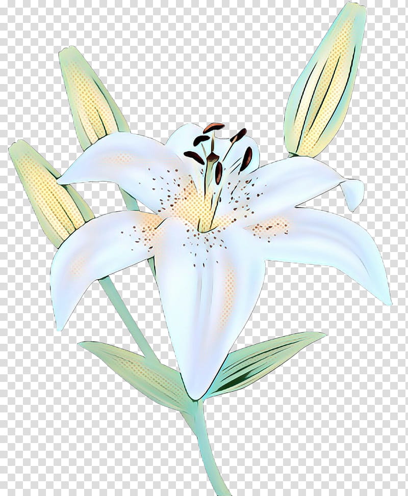 Easter Lily, Lily stargazer, Flower, Wood Lily, Madonna Lily, Plant, Petal, Stargazer Lily transparent background PNG clipart