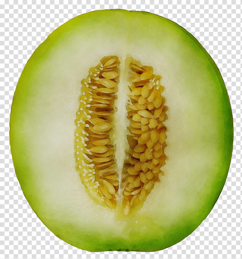 Vegetable, Wax Gourd, Melon, Winter Melon Punch, Cantaloupe, Cucurbits, Fruit, Food transparent background PNG clipart