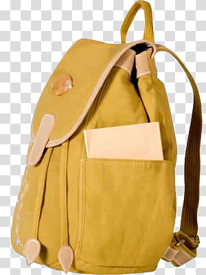 School, beige back transparent background PNG clipart thumbnail