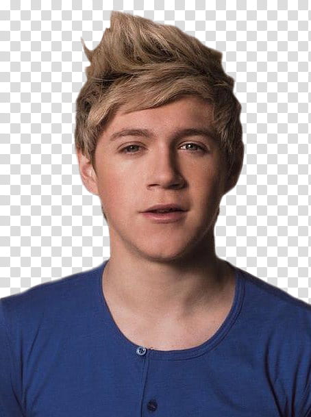 Niall Horan transparent background PNG clipart