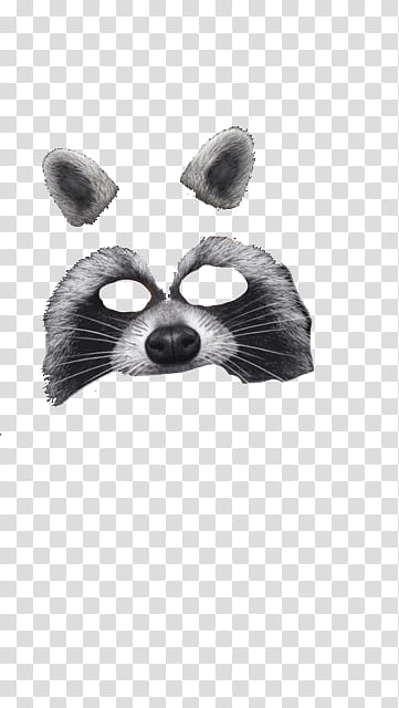 Snapchat psd, raccoon face illustration transparent background PNG clipart