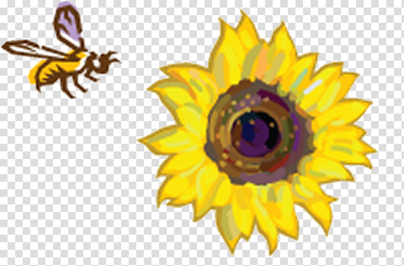 Bee, Common Sunflower, Sunflowers, Honey Bee, Seed, Sunflower Seed, Sunflower, Vincent Van Gogh transparent background PNG clipart