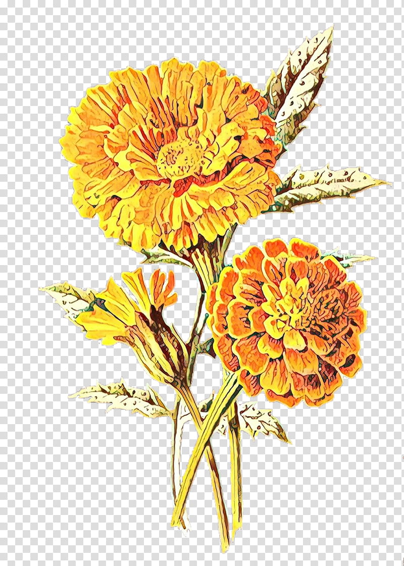 Flowers, Mexican Marigold, East Urban Home, Printing, Printmaking, Floral Design, Poster, Cut Flowers transparent background PNG clipart