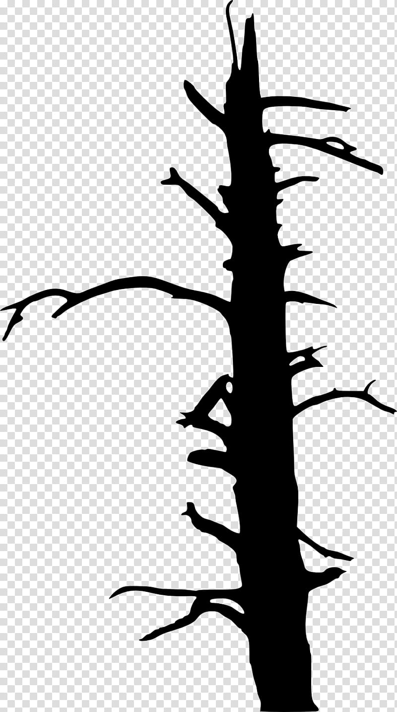 Tree Branch Silhouette, Drawing, Twig, Thorns Spines And Prickles, Plant, Plant Stem, Blackandwhite transparent background PNG clipart