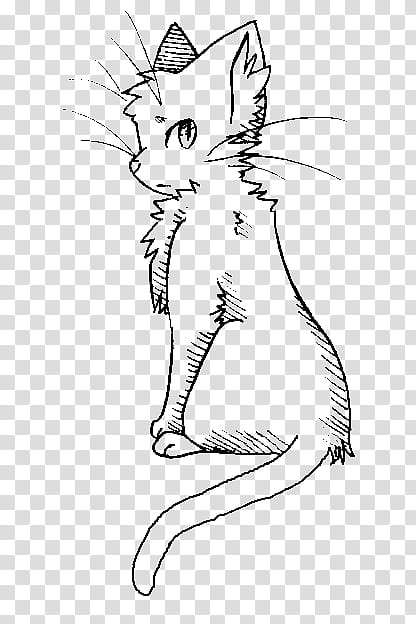 .:Free  Use:. Cat base #, cat drawing illustration transparent background PNG clipart