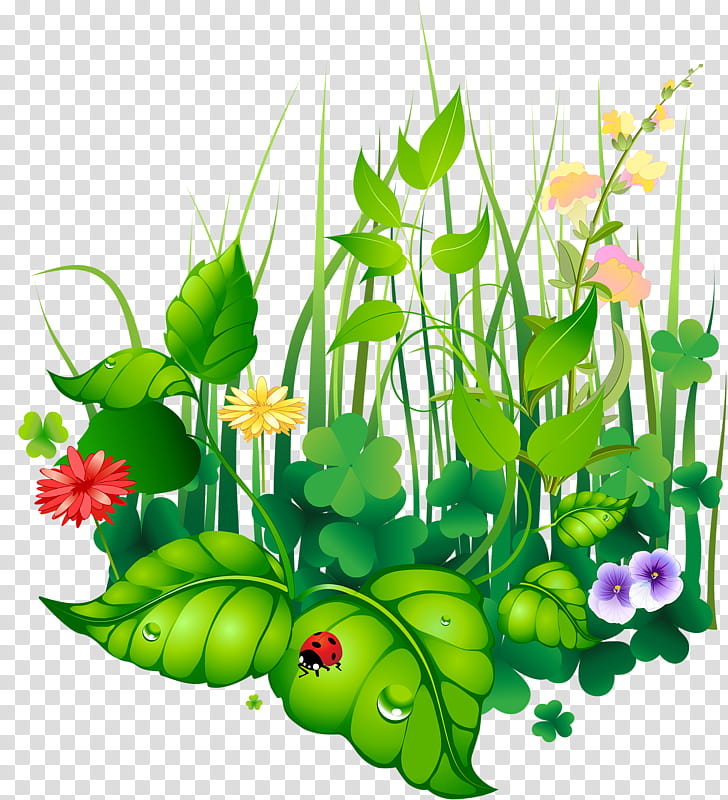 Flowers, Floral Design, Paper, Plants, Leaf, Green, Floristry, Flowerpot transparent background PNG clipart