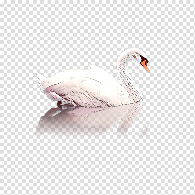 Snow, Cartoon, Goose, Duck, Feather, Beak, Swan, Bird transparent background PNG clipart