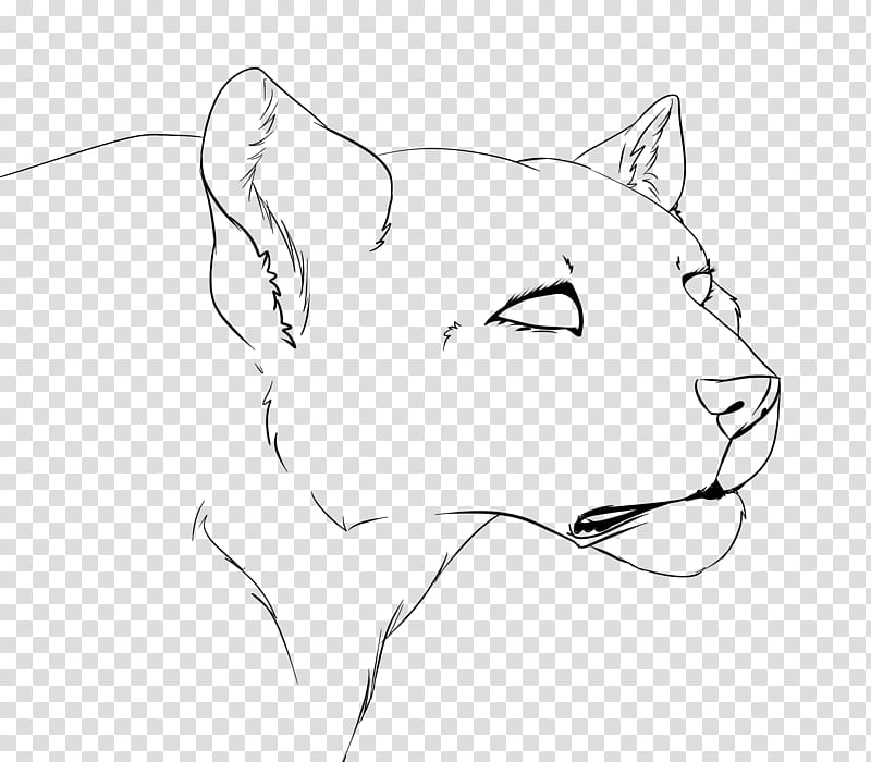 Free cat Lineart, big cat sketch transparent background PNG clipart