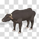 Spore creature Asian water buffalo , black water buffalo illustration transparent background PNG clipart