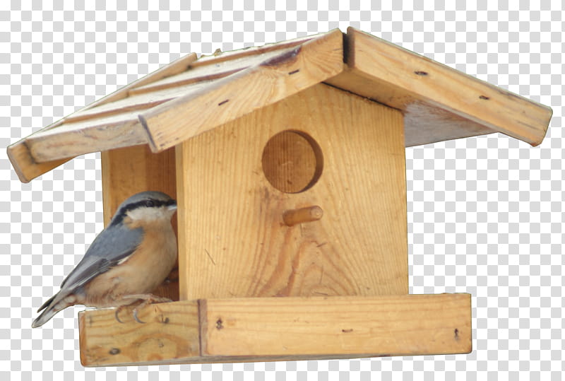 little house birds, brown wooden birdhouse and gray bird transparent background PNG clipart