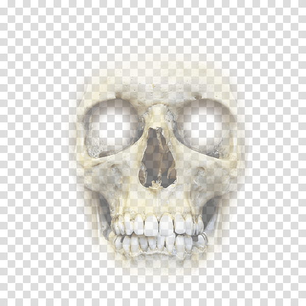 Halloween app Zombie Camera, face_ transparent background PNG clipart