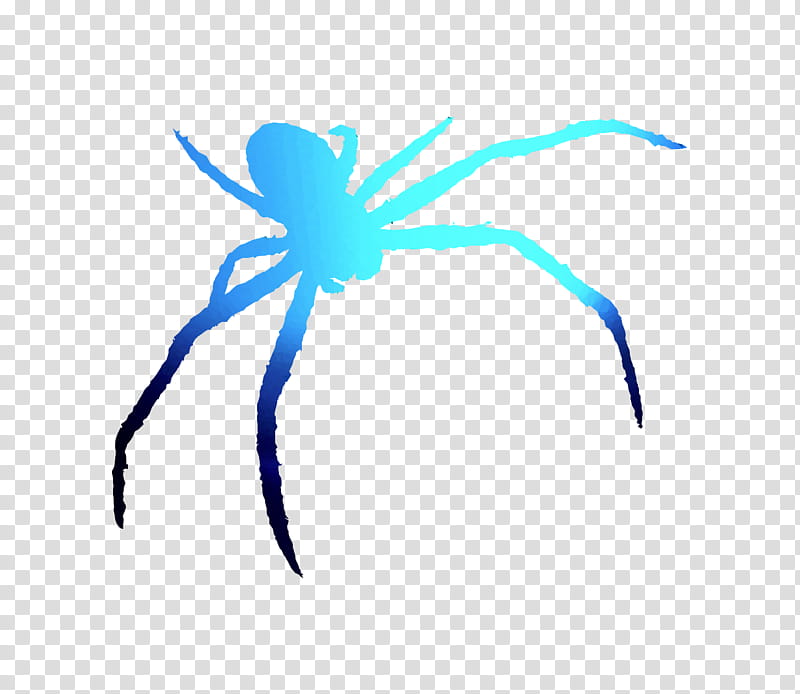 Cartoon Spider, Insect, Arachnid, Pollinator, Pest, Computer, Microsoft Azure, Membrane transparent background PNG clipart