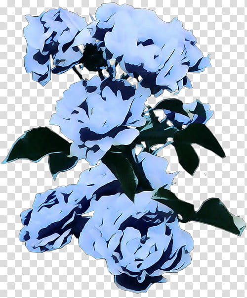 Blue Iris Flower, Floral Design, Cut Flowers, Petal, Bond, Interest, V, White transparent background PNG clipart