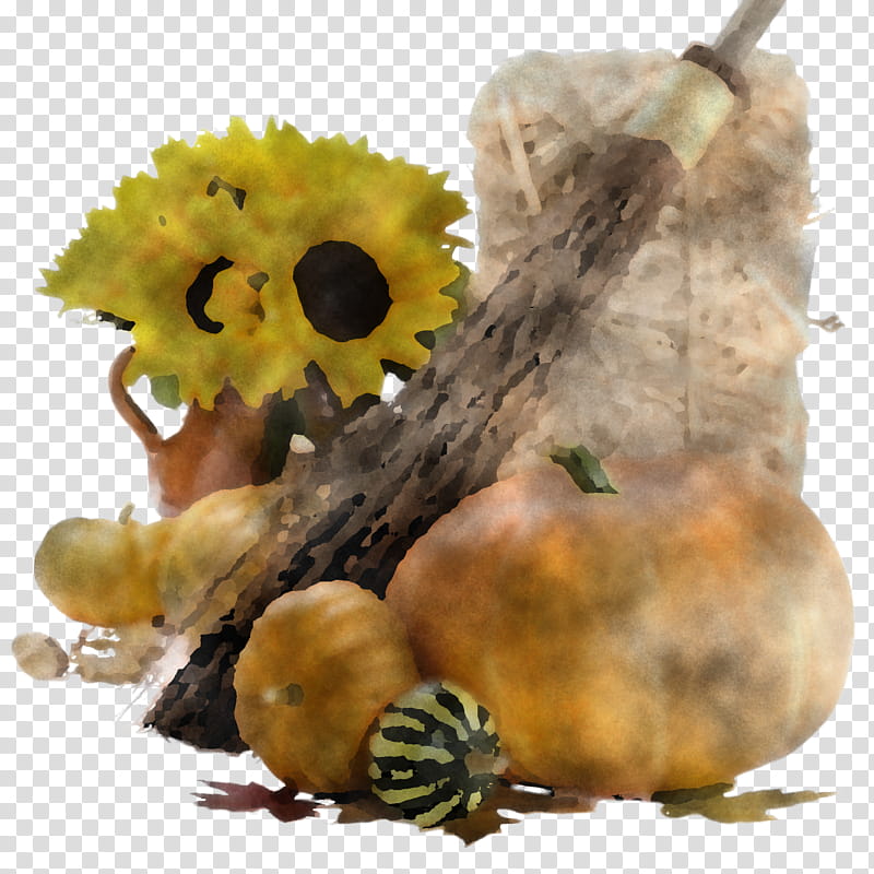 yellow still life graphy plant tree flower, Still Life transparent background PNG clipart