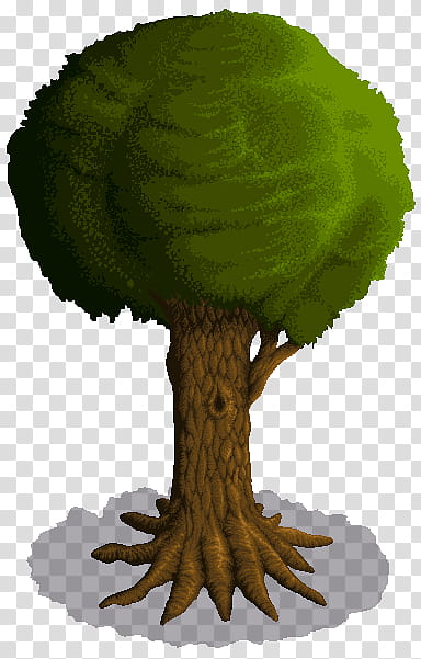 Giant Tree transparent background PNG clipart