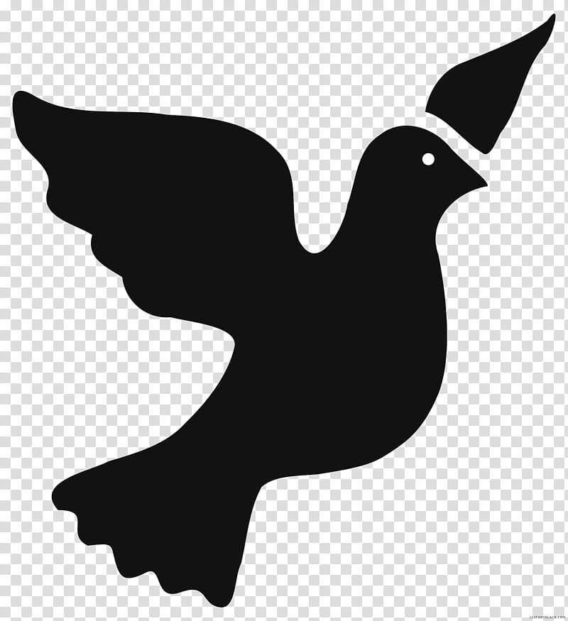 Bird Silhouette, Pigeons And Doves, Drawing, Peace, Beak, Black And White transparent background PNG clipart