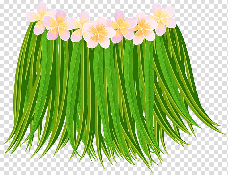 Luau, Grass Skirt, Hawaiian Language, Hula, Drawing, Plant, Flower, Welsh Onion transparent background PNG clipart