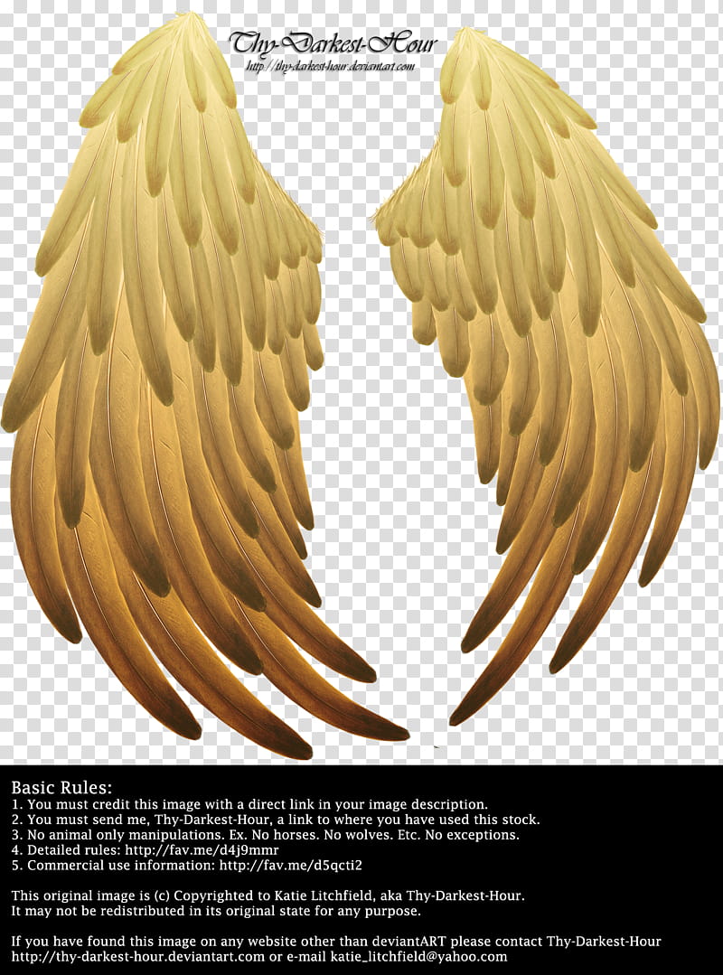 Solace Wings Golden transparent background PNG clipart