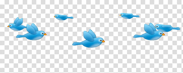 booth Filters, blue birds illustration transparent background PNG clipart
