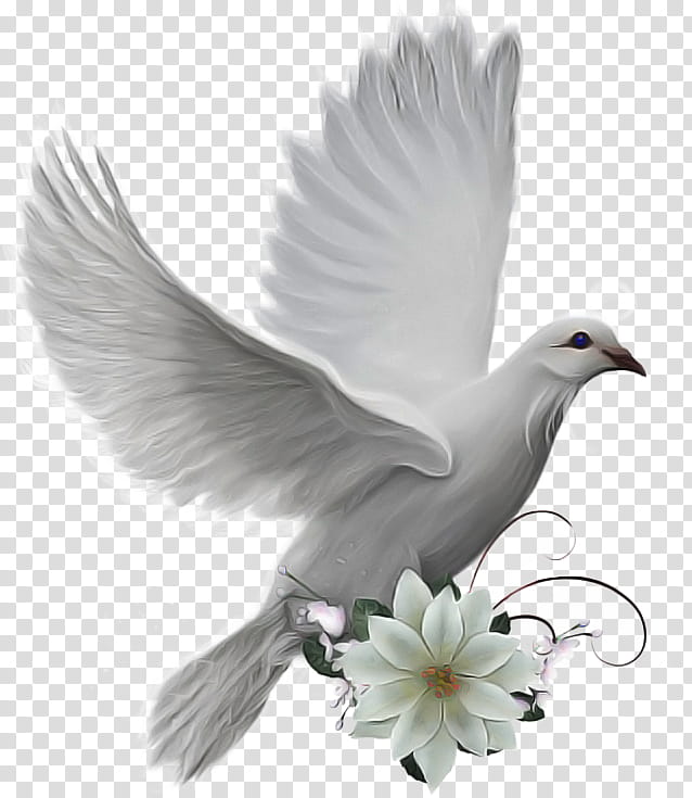 R.I.P PNG transparent image download, size: 3000x3000px