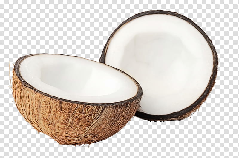 Coconut, Bowl M, Philippines, Video, Html5, Web Browser, Filipino, Coconut Milk transparent background PNG clipart