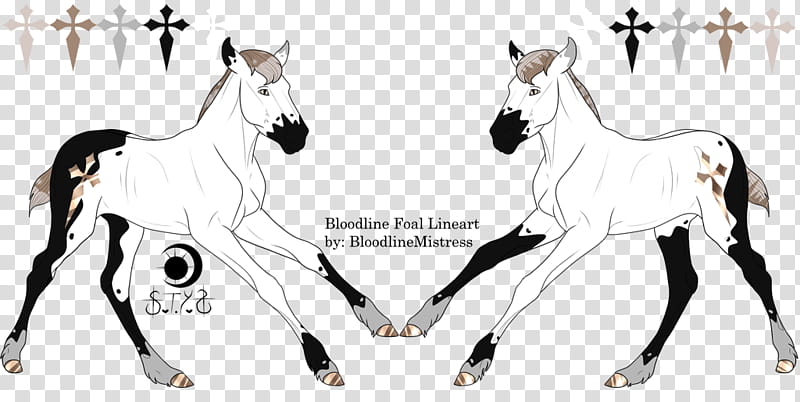 Precious Twins, Foal Designs~ transparent background PNG clipart