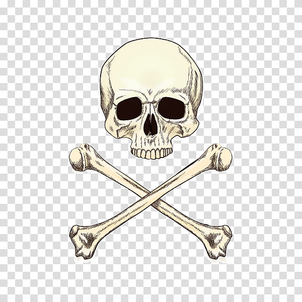 Skull And Crossbones, Drawing, Skeleton transparent background PNG clipart