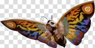 Rainbow Mothra  transparent background PNG clipart