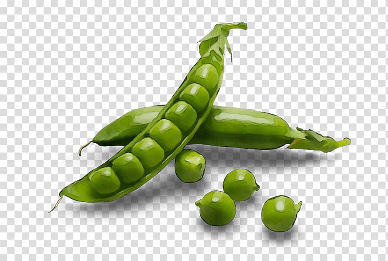 Vegetable, Green Pea, Snap Pea, Bean, Food, Split Pea, Mattar Paneer, Legume transparent background PNG clipart